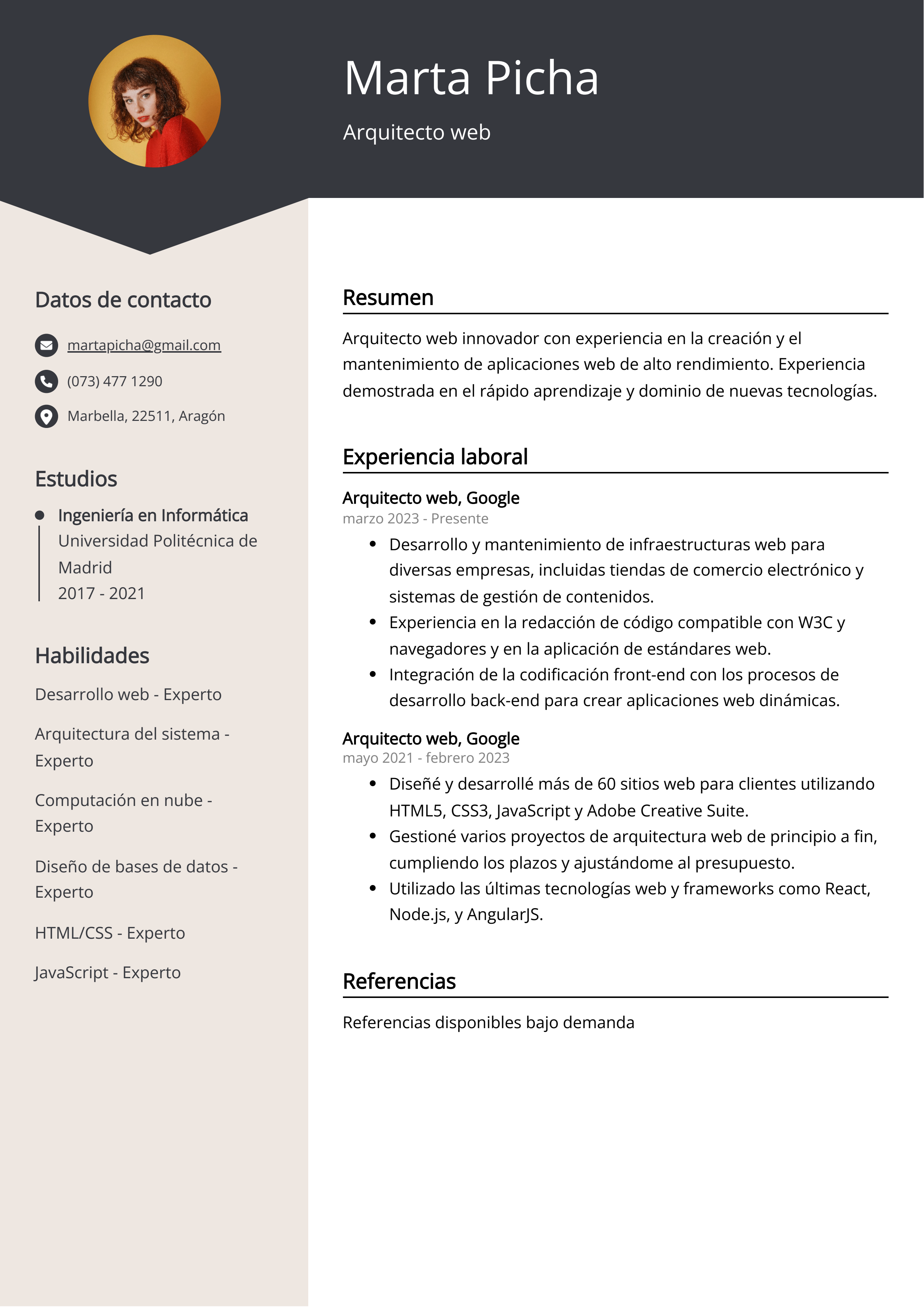 Arquitecto web Ejemplo de CV