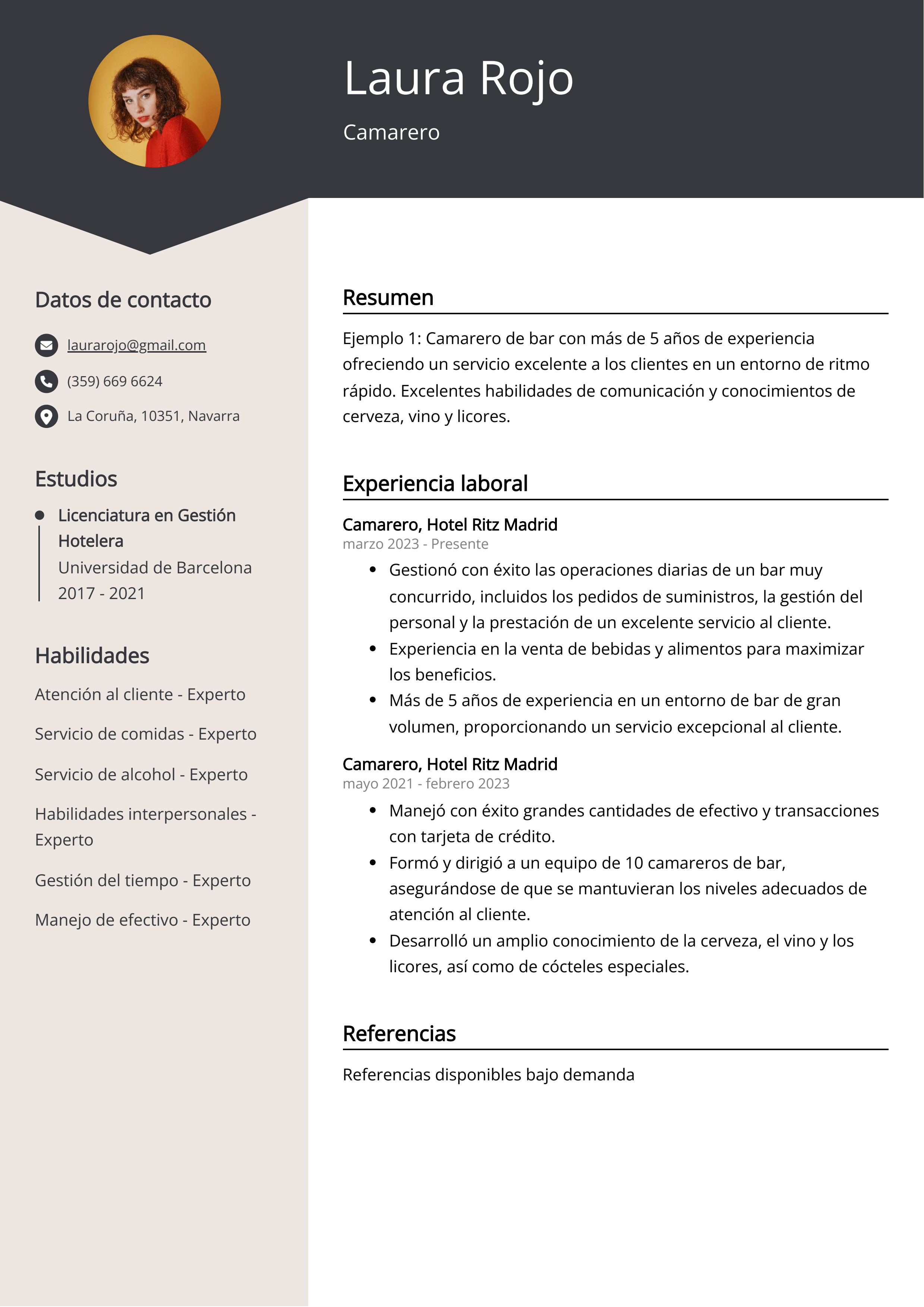 Ejemplo De Curr culum De Camarero De Bar Gu a Gratuita 