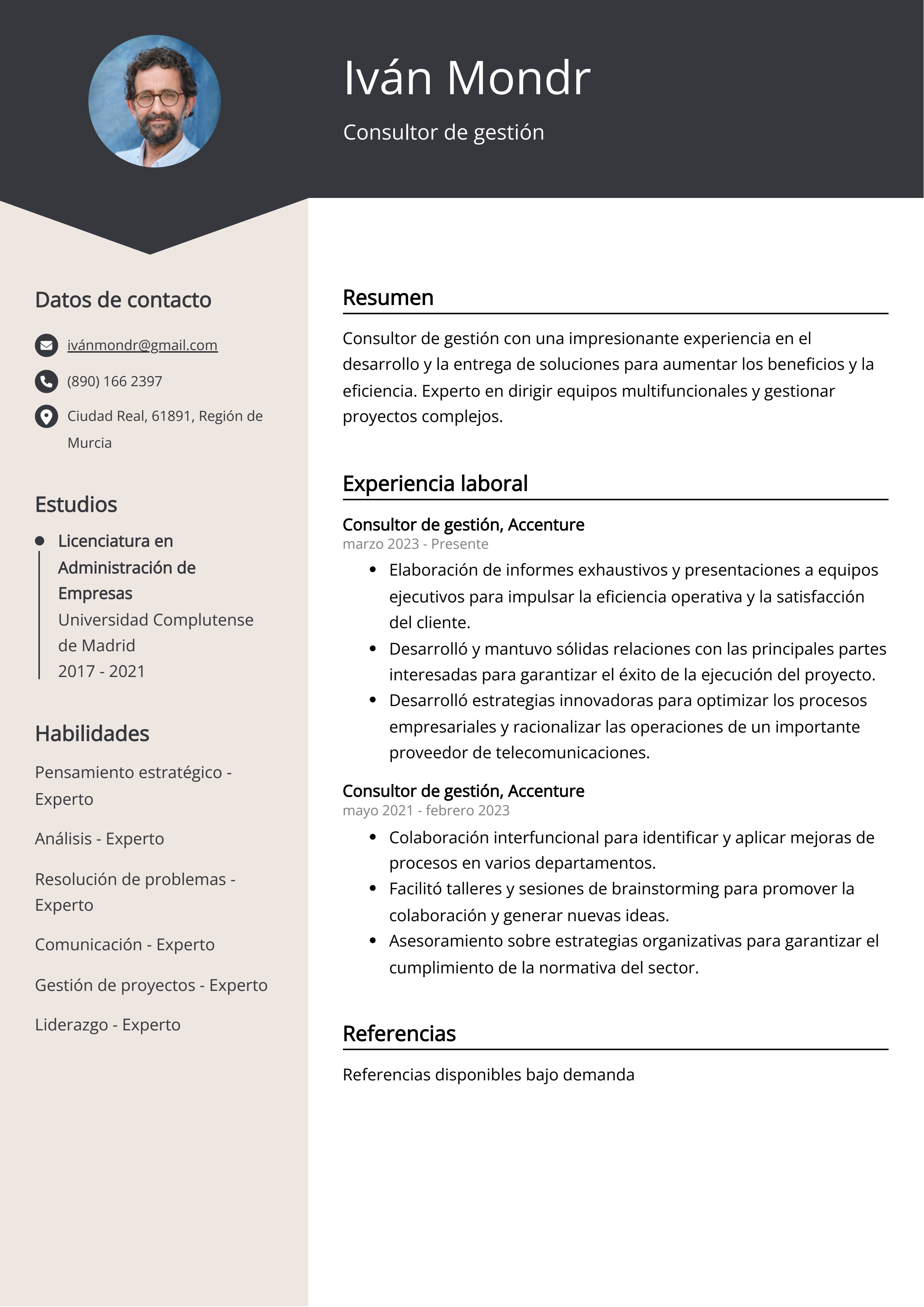 Consultor de gestión Ejemplo de CV