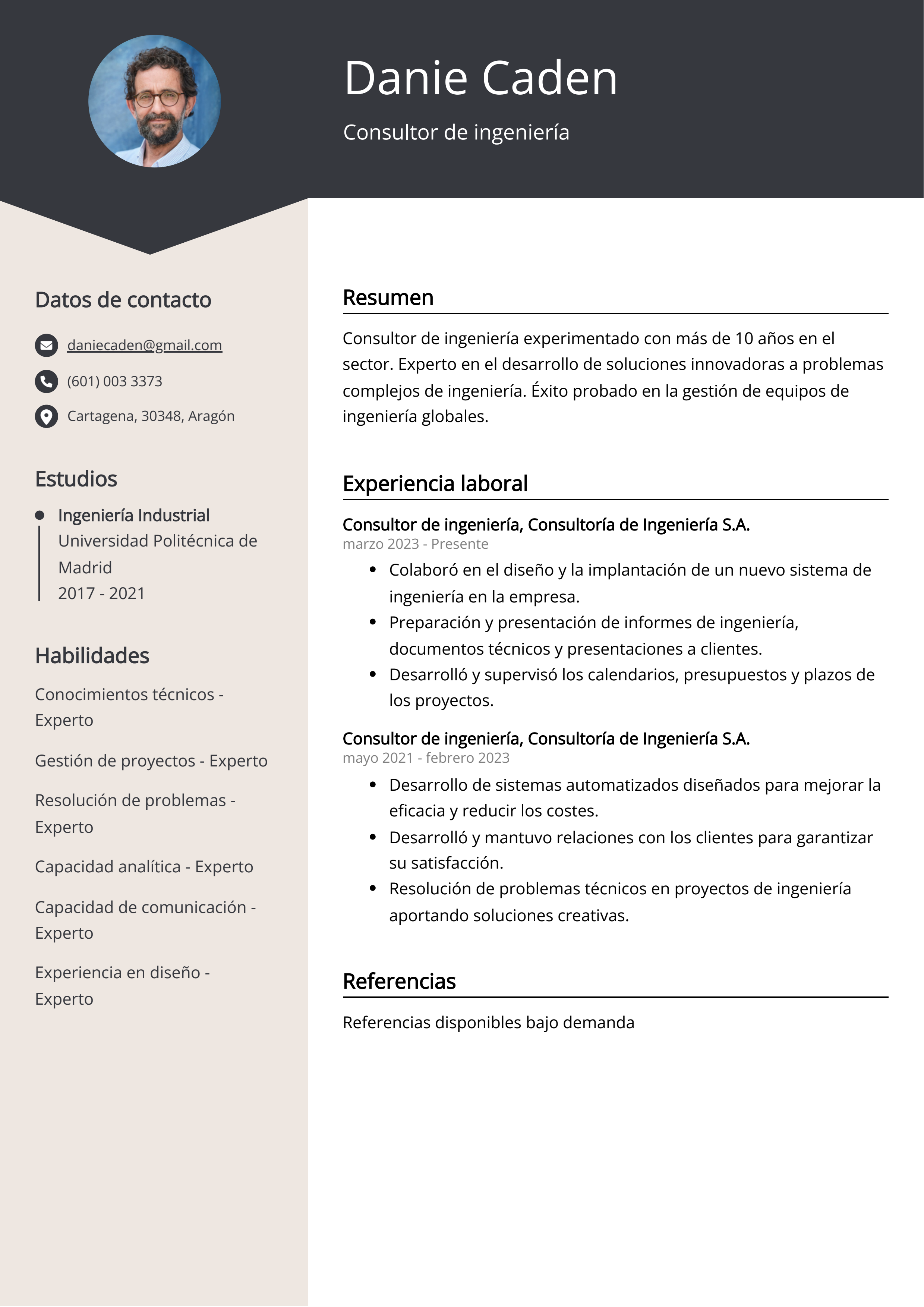 Consultor de ingeniería Ejemplo de CV