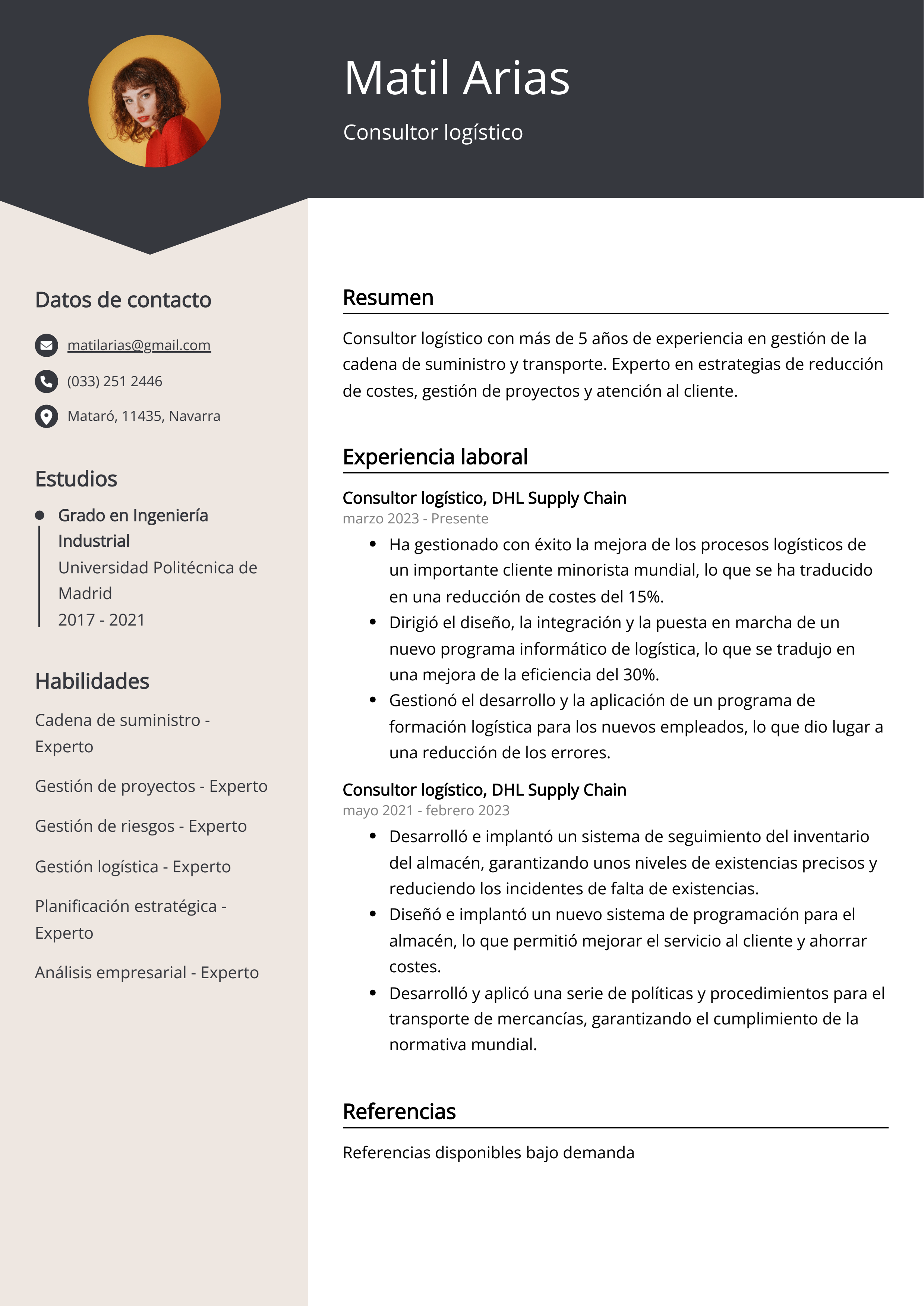 Consultor logístico Ejemplo de CV