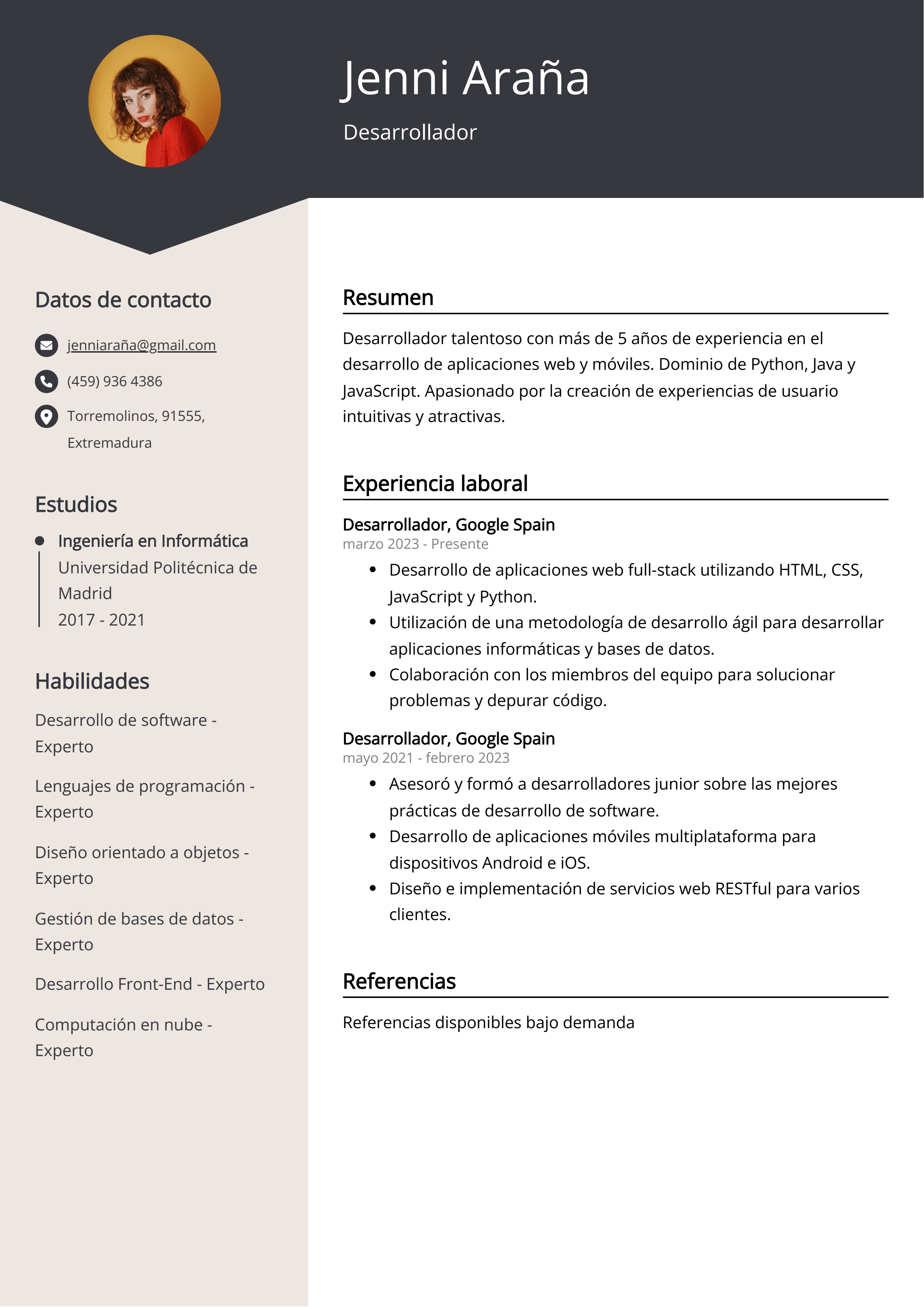 Desarrollador Ejemplo de CV