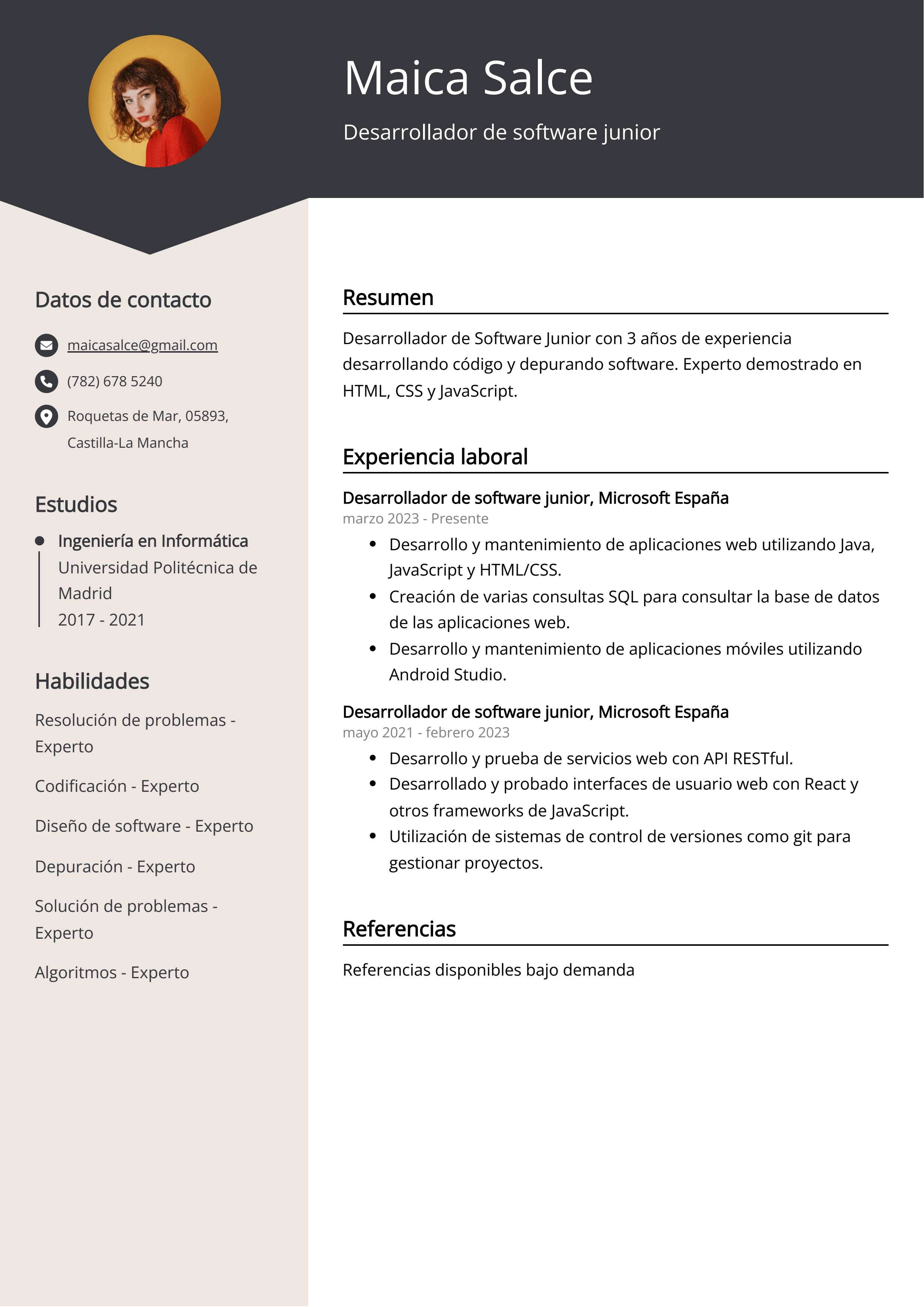 Desarrollador de software junior Ejemplo de CV