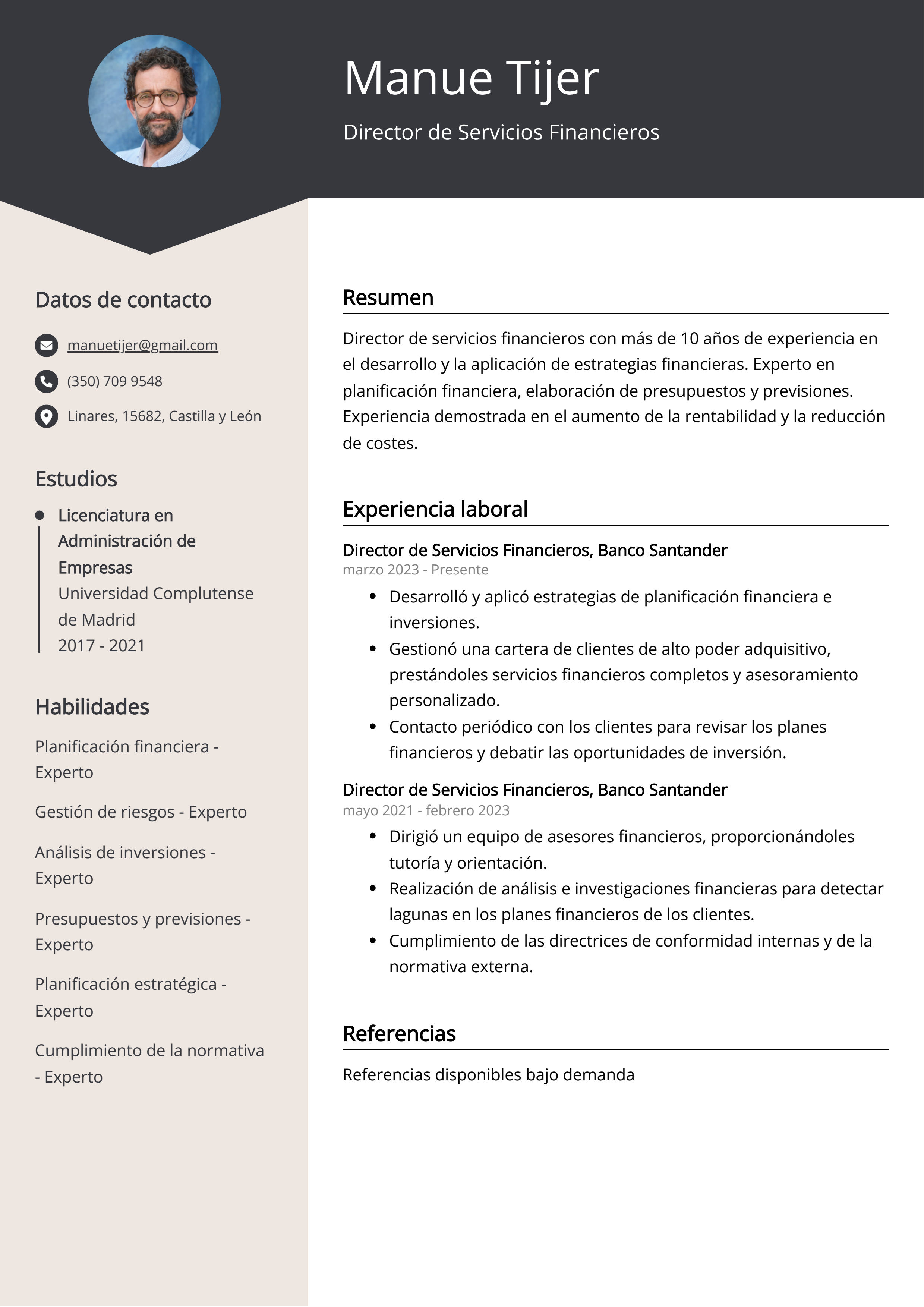 Director de Servicios Financieros Ejemplo de CV