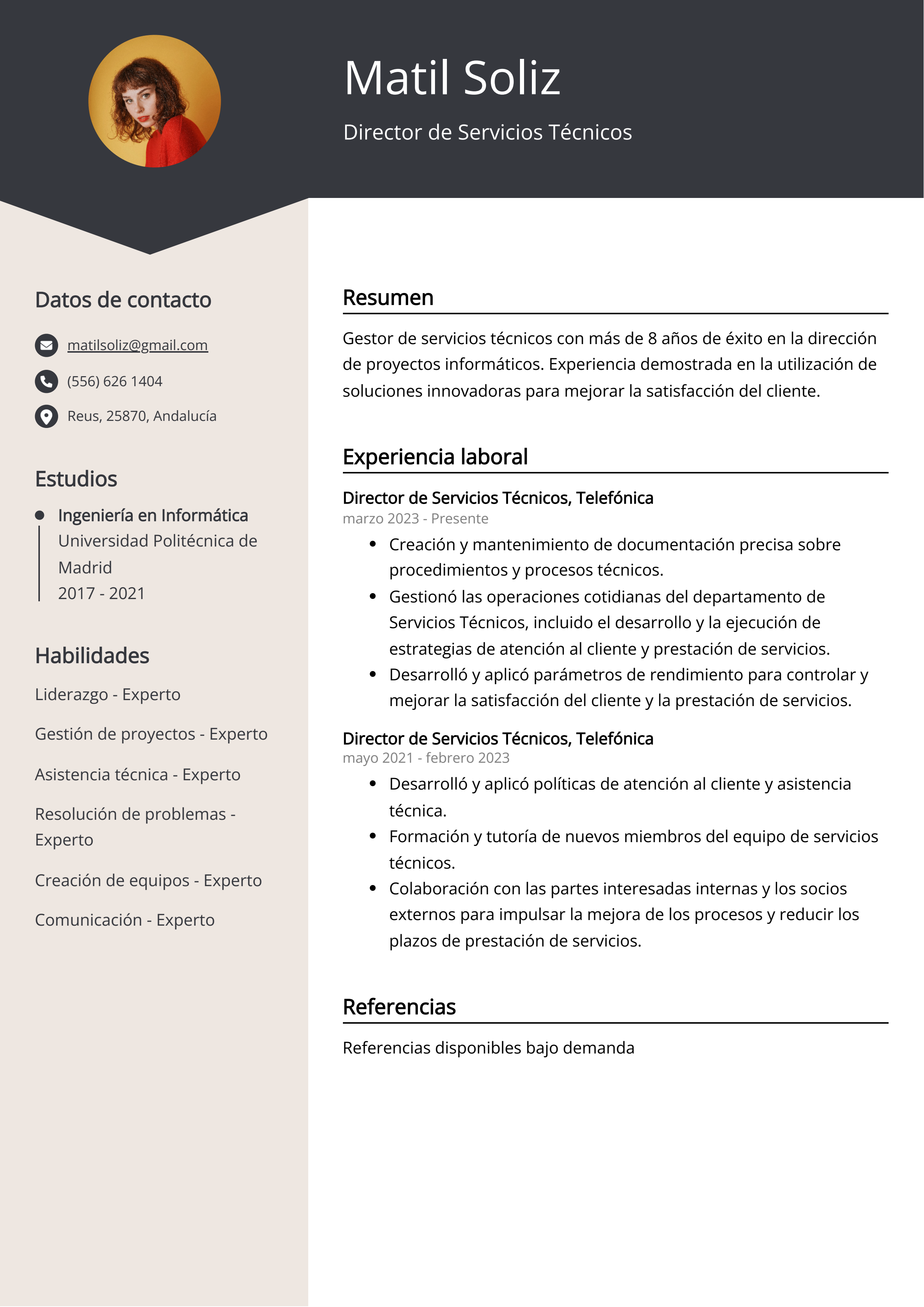 Director de Servicios Técnicos Ejemplo de CV