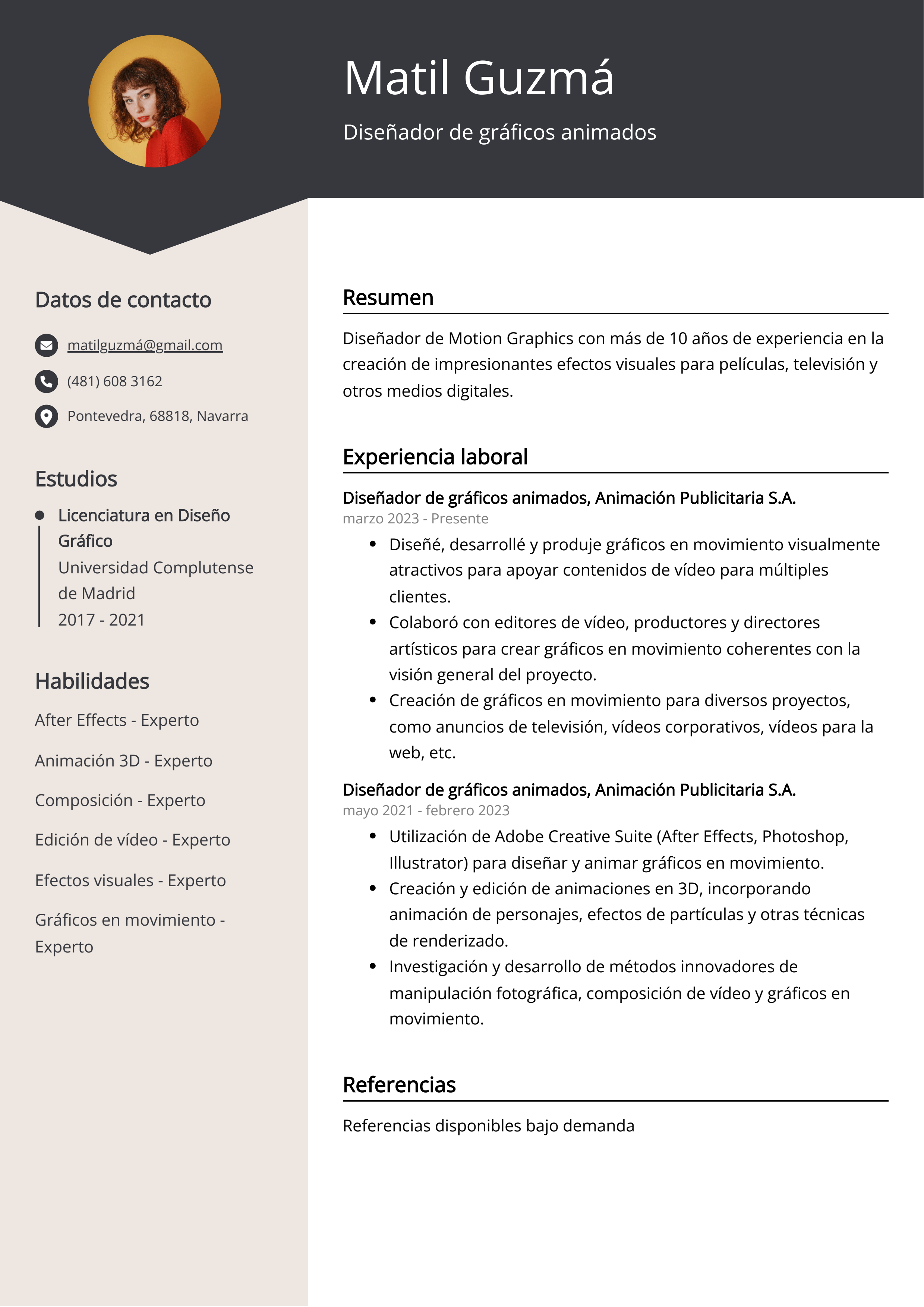 Diseñador de gráficos animados Resume Example