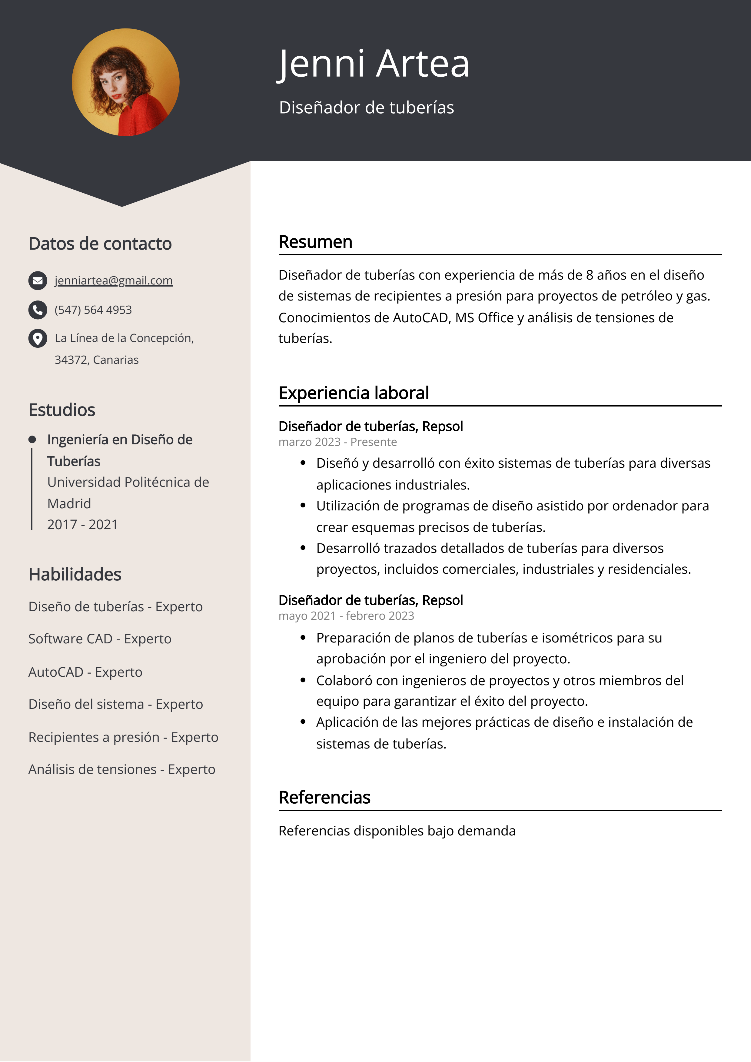 Diseñador de tuberías Ejemplo de CV