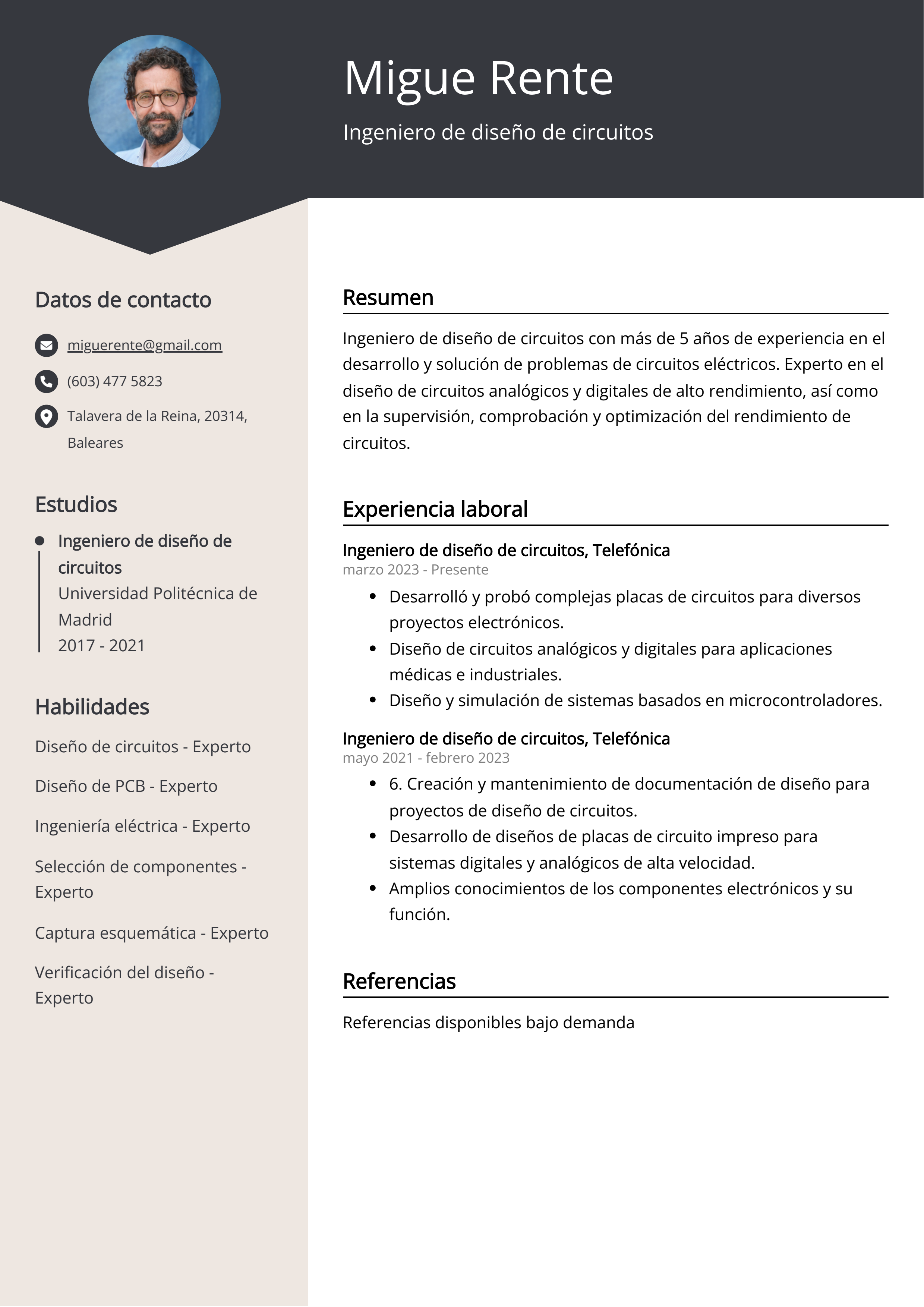 Ingeniero de diseño de circuitos Resume Example