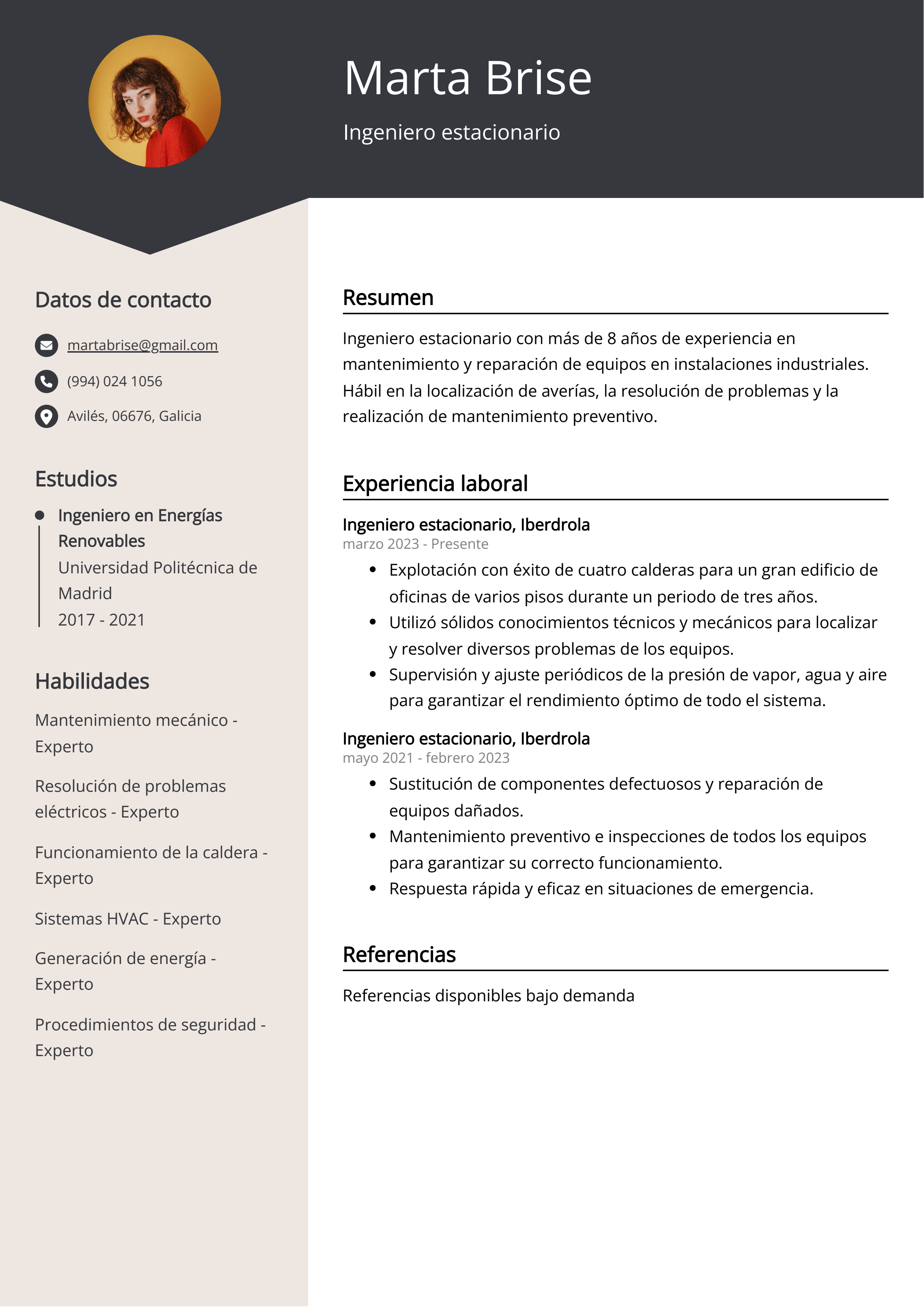 Ingeniero estacionario Ejemplo de CV