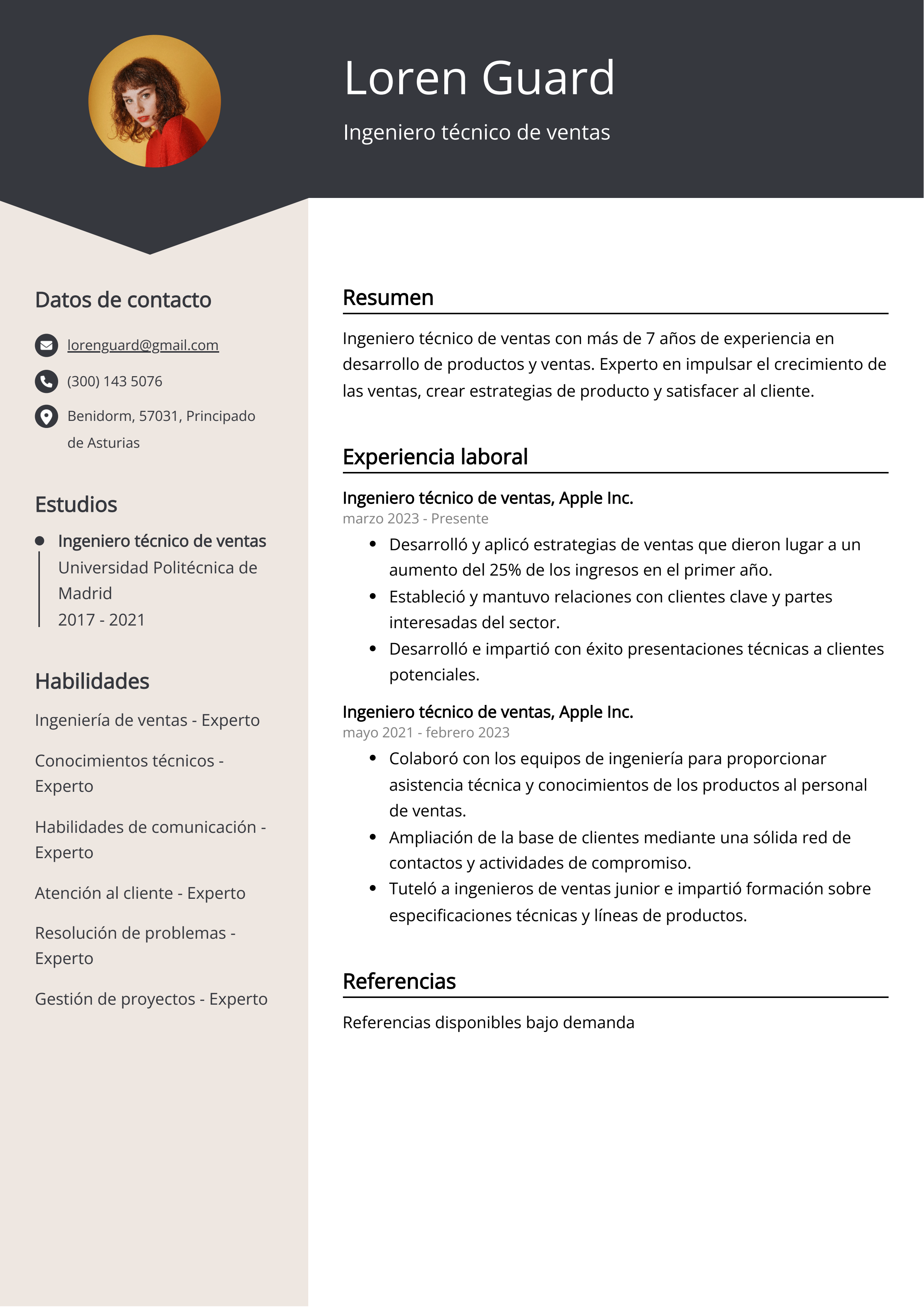 Ingeniero técnico de ventas Ejemplo de CV