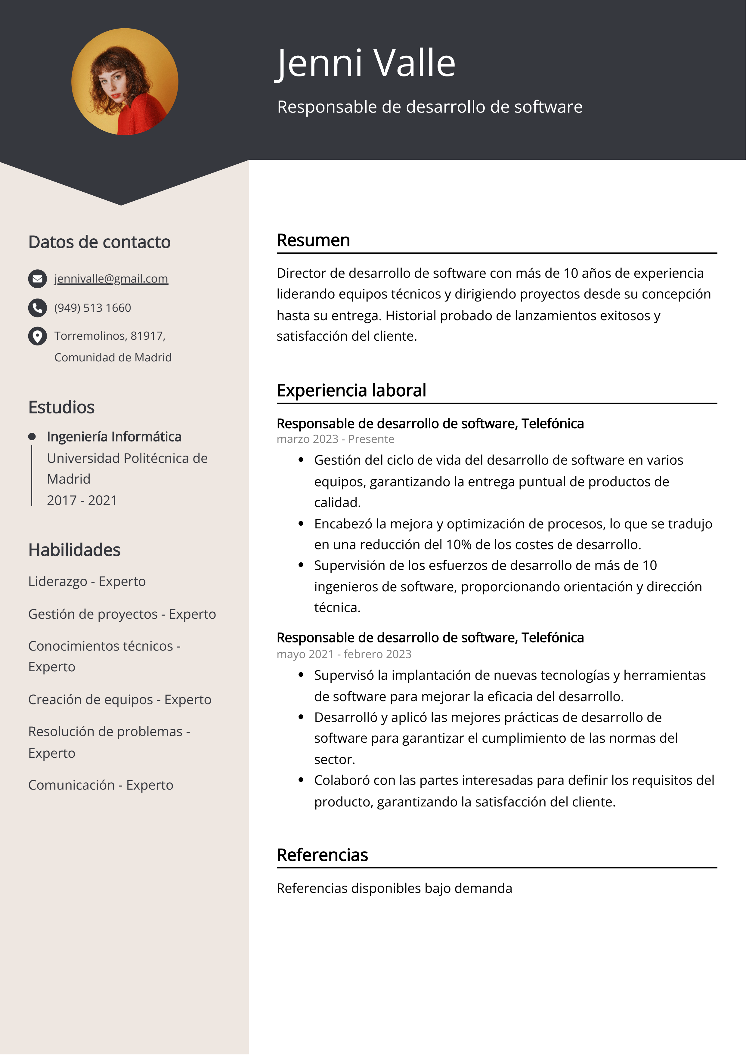 Responsable de desarrollo de software Resume Example