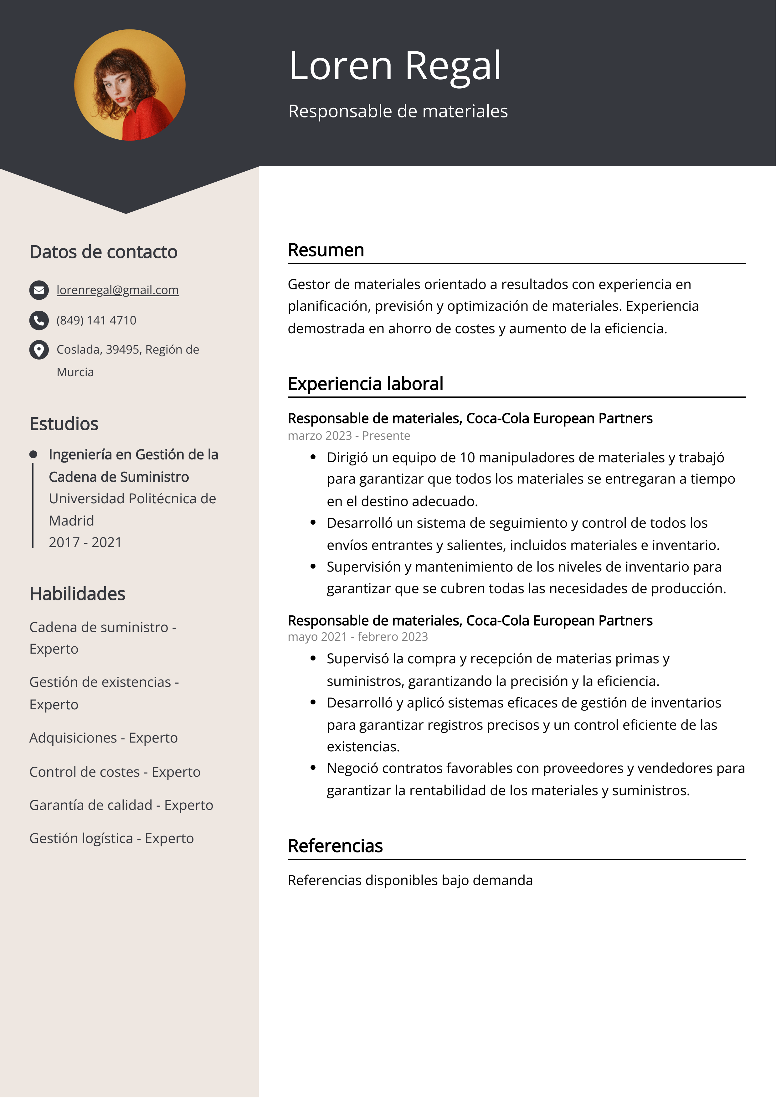 Responsable de materiales Ejemplo de CV