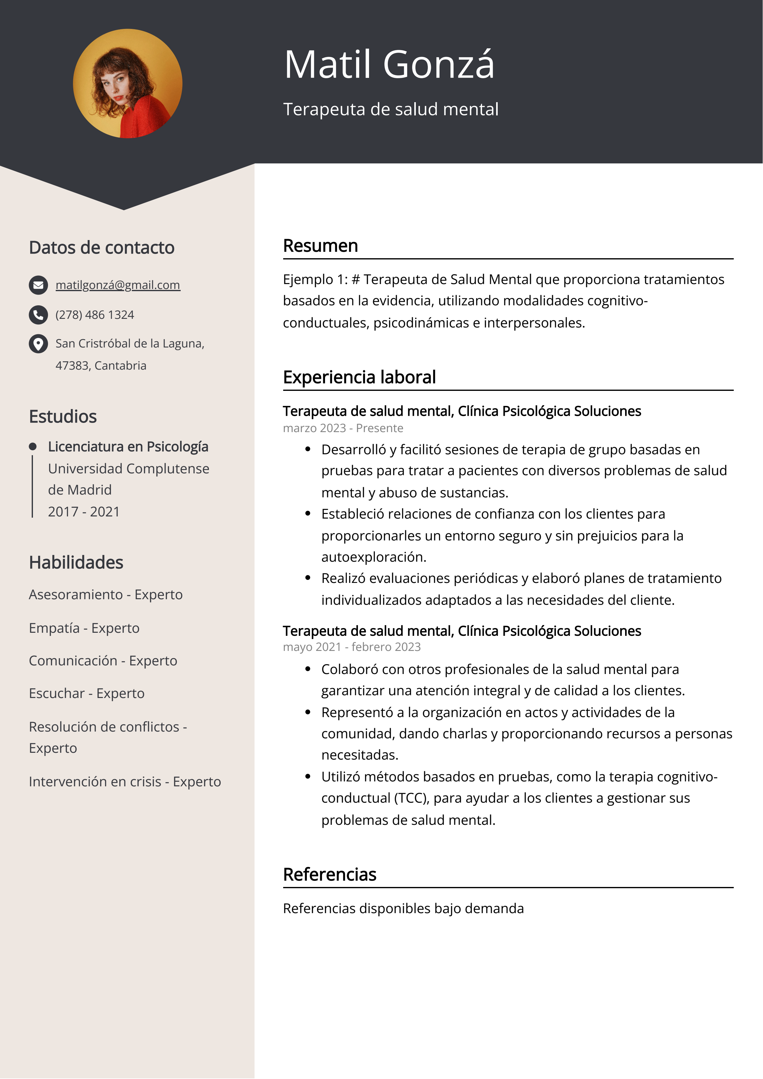 Terapeuta de salud mental Resume Example