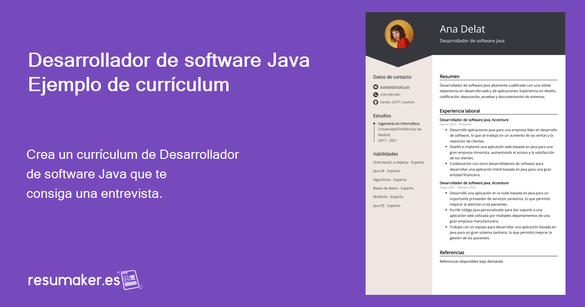 Curriculum Vitae Desarrollador de software Java: Ejemplo y Guía (Nivel ...
